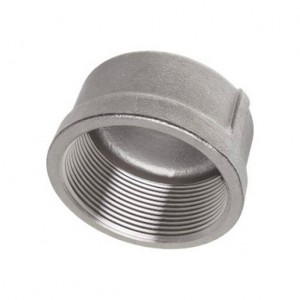 TAPON HEMBRA INOX C/ROSCA